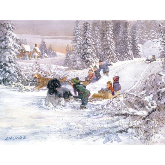 Puzzle Cobble Hill Now Don't Stop 500 pièces