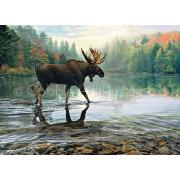 Cobble Hill Moose dans la rivière Puzzle 1000 pièces