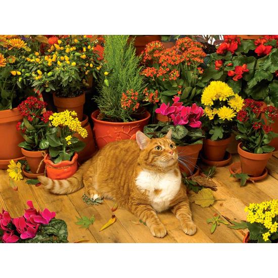 Cobble Hill Puzzle Brise d'automne 500 pièces