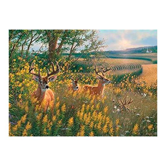 Cobble Hill Cerf en été Puzzle 1000 pièces