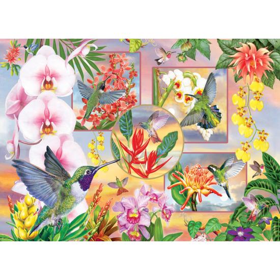 Cobble Hill Magic Colibri XXL Puzzle 500 pièces