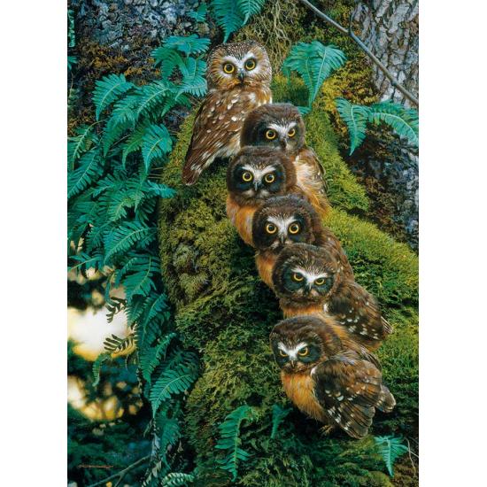 Cobble Hill Famille de hiboux sur l'arbre Puzzle 1000 pièces