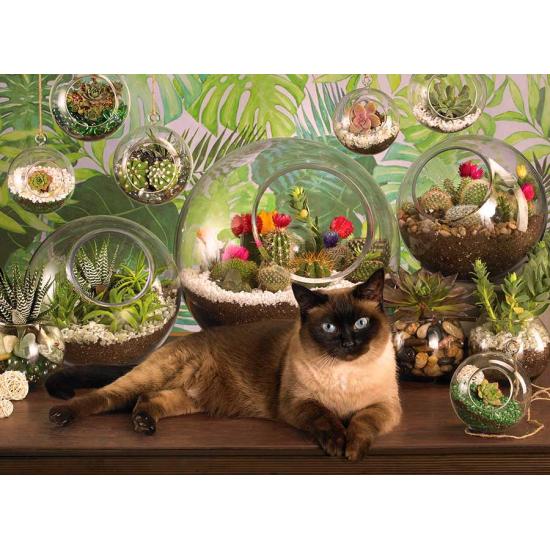 Cobble Hill Chat et Terrarium Puzzle 1000 pièces