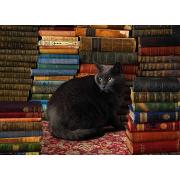 Cobble Hill Library Cat Puzzle 1000 pièces