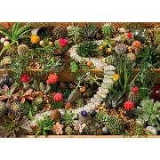 Cobble Hill Cactus Garden Puzzle 1000 pièces