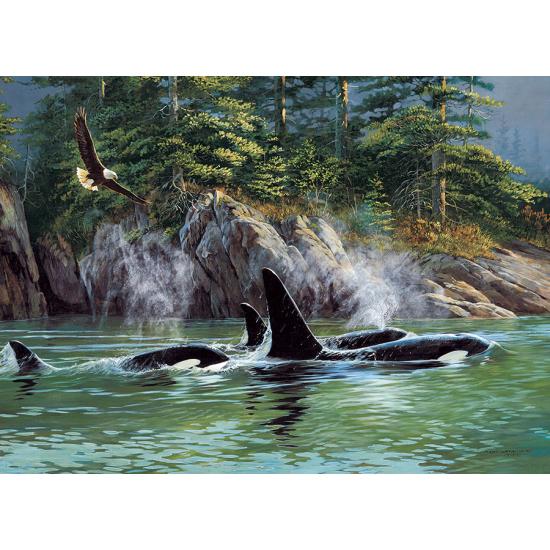 Cobble Hill Orcas Puzzle 1000 pièces Cobble Hill Orcas Puzzle 1000 pièces