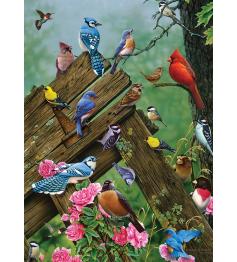 Cobble Hill Forest Birds Puzzle 1000 pièces