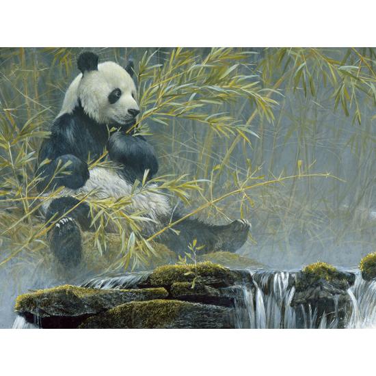 Cobble Hill Panda géant Puzzle 500 pièces