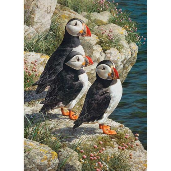 Puzzle Cobble Hill Petits Pêcheurs XXL 500 pièces