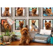 Cobble Hill Yorkie Puppies Puzzle 1000 pièces