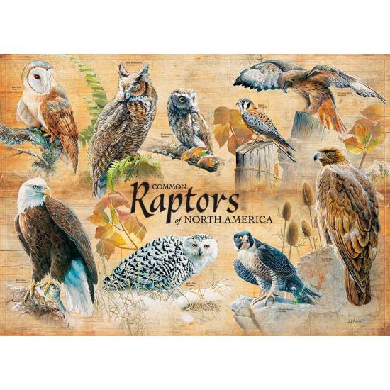 Cobble Hill Raptors nord-américains Puzzle 1000 pièces
