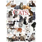 Cobble Hill Cat Breeds Puzzle 1000 pièces