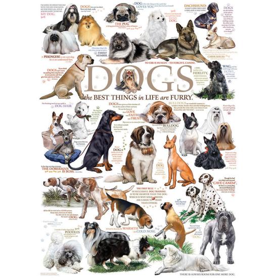 Cobble Hill Dog Races Puzzle 1000 pièces Cobble Hill Dog Races Puzzle 1000 pièces