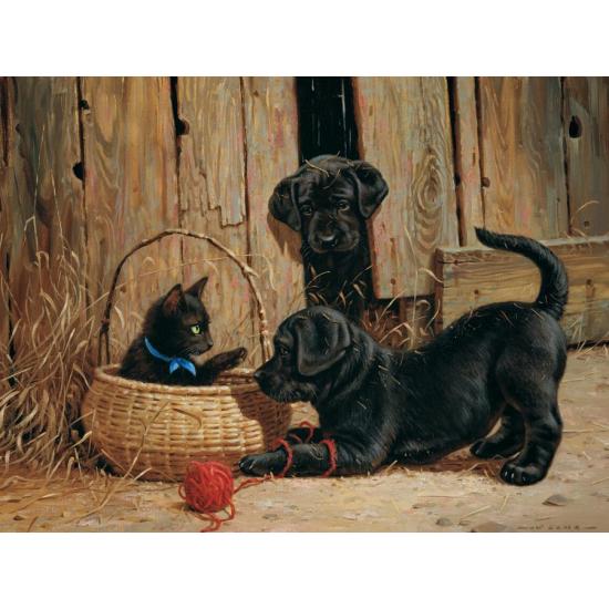 Cobble Hill Noisy Neighbours Puzzle 500 pièces