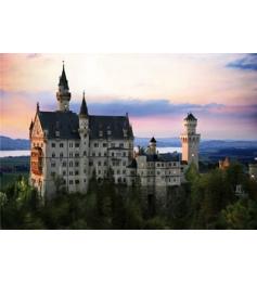 D-Toys Allemagne Puzzle Château du Roi Dément 1000 pièces