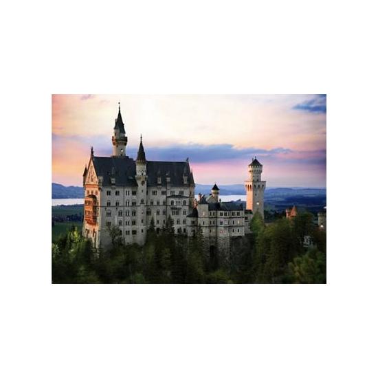 D-Toys Allemagne Puzzle Château du Roi Dément 1000 pièces