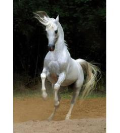 D-Toys Puzzle Cheval Blanc 1000 pièces