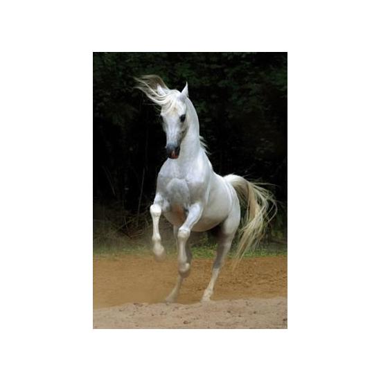 D-Toys Puzzle Cheval Blanc 1000 pièces