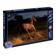 D-Toys Puzzle cheval marron 1000 pièces