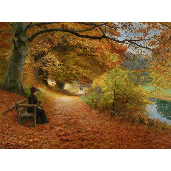 D-Toys Puzzle Chemin boisé d'automne 1000 pièces