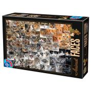 Puzzle D-Toys Visages d'animaux, chats 1000 pièces