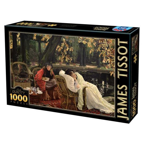 D-Toys Puzzle convalescent 1000 pièces