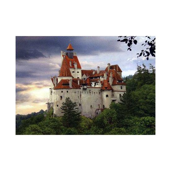 D-Toys Puzzle Château de Bran, Roumanie 500 pièces