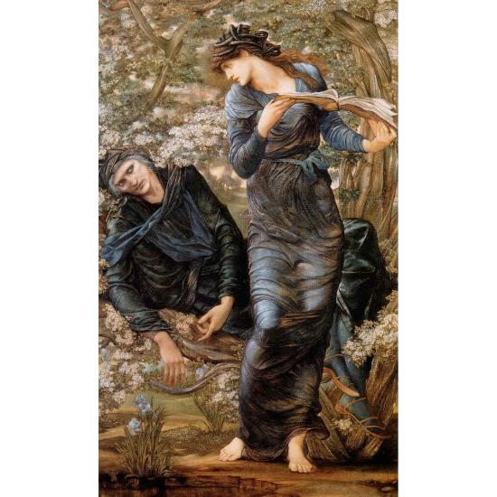 D-Toys La Séduction de Merlin Puzzle 1000 pièces D-Toys La Séduction de Merlin Puzzle 1000 pièces