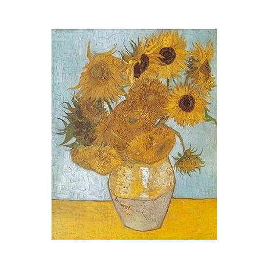 Puzzle D-Toys Tournesols 1000 pièces