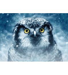 Deico Puzzle Regard fixe 1000 pièces