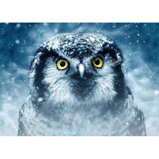 Deico Puzzle Regard fixe 1000 pièces