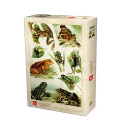 Deico Puzzle Encyclopédie des Grenouilles 1000 Pièces