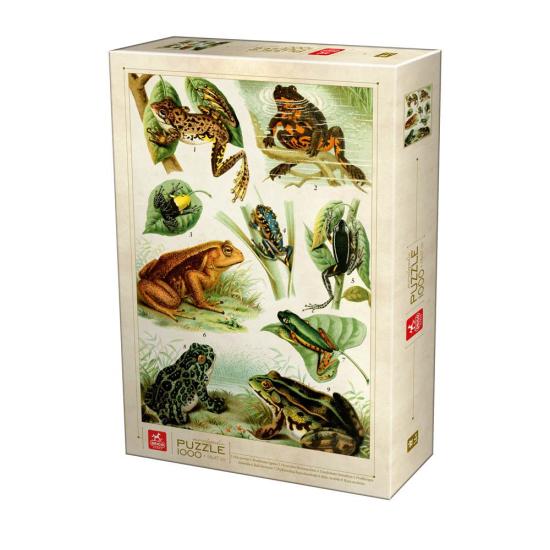 Deico Puzzle Encyclopédie des Grenouilles 1000 Pièces