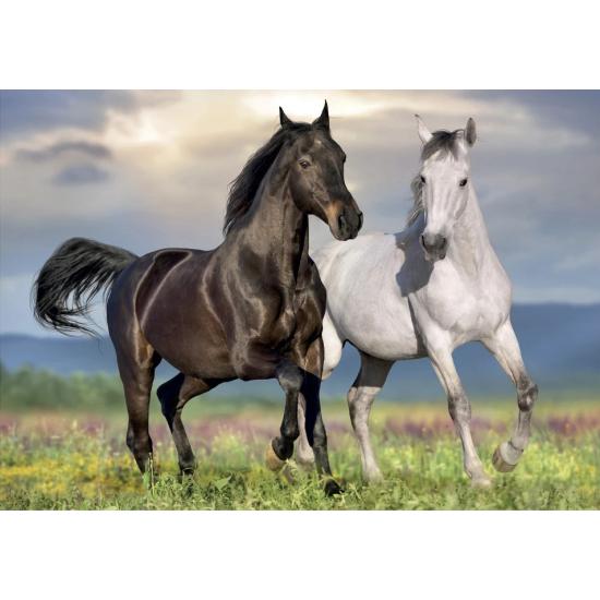 Puzzle Dino Chevaux Amoureux 500 pièces
