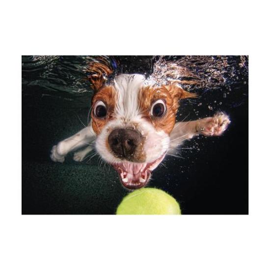 Puzzle sous-marin chiot Dino 500 pièces