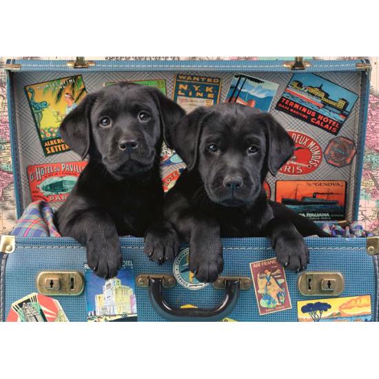 Puzzle Chiots Dino dans une Valise 500 Pièces Puzzle Chiots Dino dans une Valise 500 Pièces