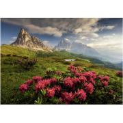 Puzzle Dino Dolomites Italiennes 2000 Pièces