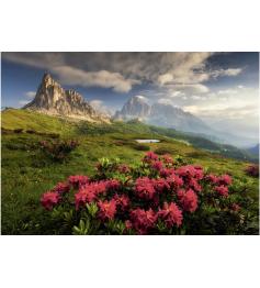 Puzzle Dino Dolomites Italiennes 2000 Pièces