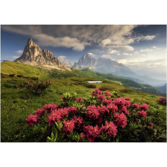Puzzle Dino Dolomites Italiennes 2000 Pièces