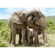 Puzzle 1000 pièces Famille d'éléphants Dino