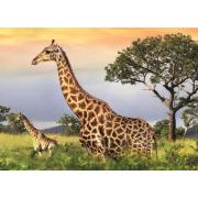 Puzzle Famille Dino Girafe 1000 pièces