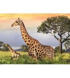 Puzzle Famille Dino Girafe 1000 pièces