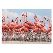 Puzzle Dino Flamant rose 500 pièces