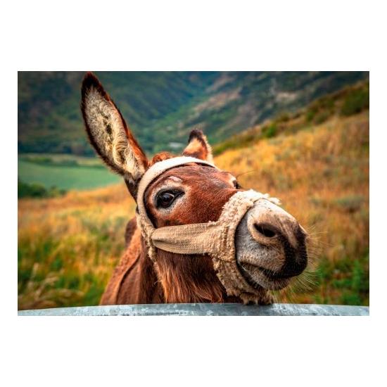 Dino l'âne Puzzle 500 pièces