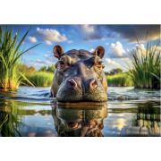 Puzzle Dino Hippo Mignon 500 pièces