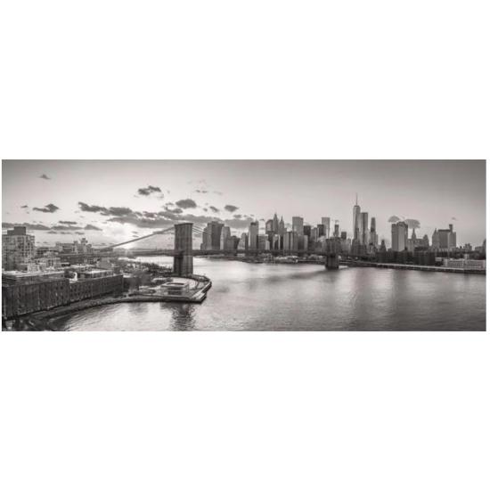 Puzzle 6000 pièces Dino Manhattan