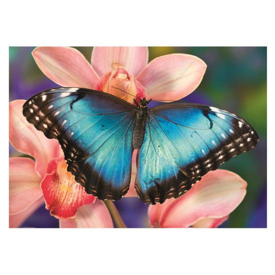 Puzzle Dino Papillon 500 pièces Puzzle Dino Papillon 500 pièces