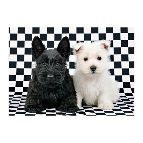 Dino Puzzle Couple de chiots Terrier 500 pièces