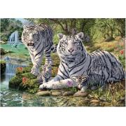 Puzzle Dino Tigres Albinos 1000 Pièces