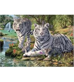 Puzzle Dino Tigres Albinos 1000 Pièces